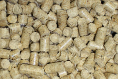 South Pill biomass boiler costs