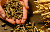 free South Pill biomass boiler quotes